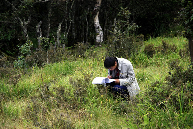 藏东南站逐步完善物候观测--中国科学院青藏高
